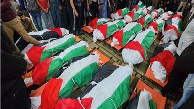 ارتفاع عدد ضحايا العدوان الإسرائيلي على غزة إلى 33729 فلسطينياً 