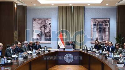 الحكومة تدرس مقترح «دانيللي» الإيطالية لإنشاء مجمع لإنتاج الحديد باستثمارات 4 مليارات دولار