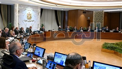 الحكومة توافق على إيقاف جميع أنواع الدعم للمتعدين على أراضي الدولة 