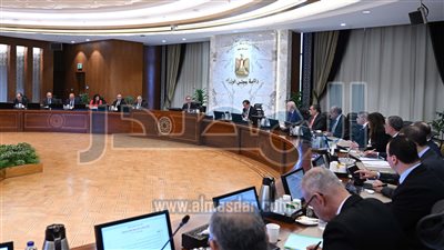 مجلس الوزراء يوافق على منح الرخصة الذهبية لشركة ايس لينكس 