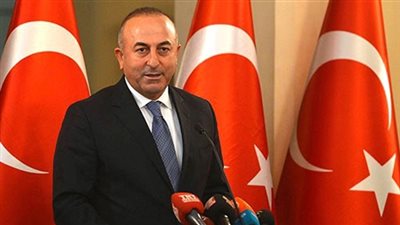 تركيا تستدعي سفيرها لدى البرازيل إحتجاجًا على الاعتراف بمذابح الأرمن