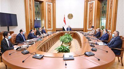 رفض أي إجراء أحادى.. السيسى يوجه بالحفاظ على حقوق مصر المائية