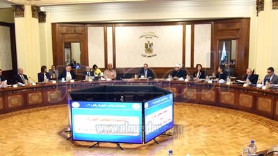 الحكومة تعتمد معايير البيئة بالمنشآت الصناعية ومواجهة مصانع 