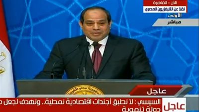 السيسي للطيب: 