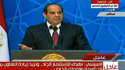 السيسي: 