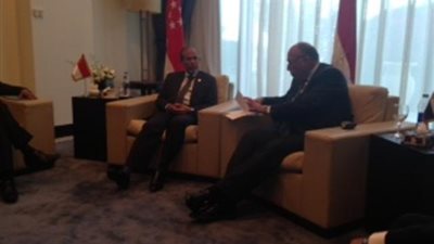 شكري يستقبل وزير خارجية سنغافورة على مؤتمر