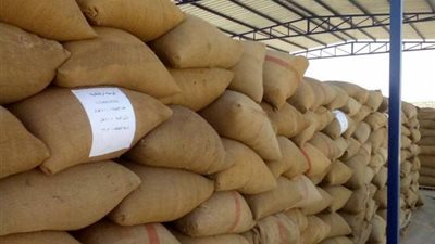 وصول 51 ألف طن قمح إلى ميناء الإسكندرية