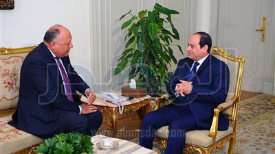 وزير الخارجية يعرض على السيسي نتائج زياته الأخيرة للولايات المتحدة
