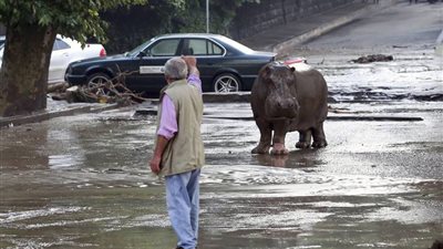 بالفيديو.. فيضانات 