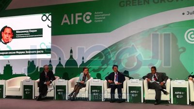 رئيس هيئة الرقابة المالية يدعو لتبنى استراتيجية قومية للاقتصاد الأخضر 