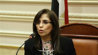 التخطيط: 6 مليارات جنيه لتمويل برامج التنمية المحلية الخمسية