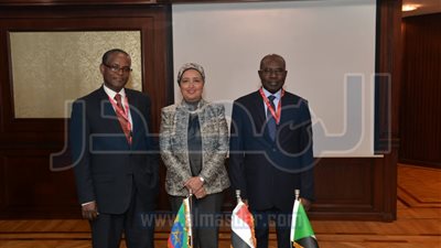 بدء اجتماعات صندوق تمويل المشروعات التنموية بدول أثيوبيا والسودان ومصر