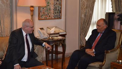 وزير الخارجية يؤكد لمسئول ألمانى على الثوابت المصرية تجاه القضية السورية