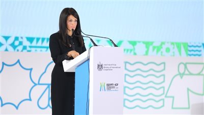 «المشاط» تستعرض توصيات منتدى مصر للتعاون الدولي والتمويل الإنمائي