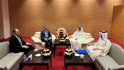 مصر تبحث سبل تعزيز التعاون مع قطر وروسيا وفنزويلا بمجال الطاقة
