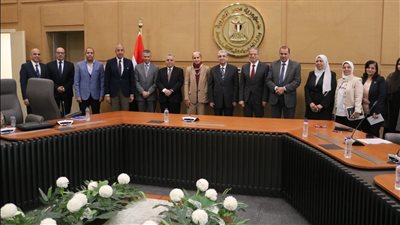 إطلاق «منصة مصر للطاقة الشمسية» وربطها بشبكة الكهرباء القومية