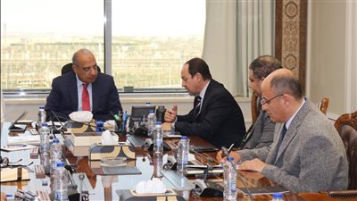 وزير قطاع الأعمال العام: خطة التحول للأخضر تشمل جميع الشركات