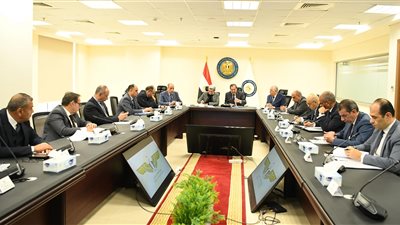 مصر تبدأ دراسات إنتاج وقود الطيران المستدام SAF