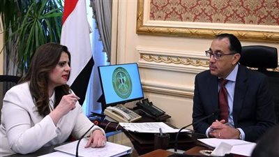 إطلاق المرحلة الأولى من التطبيق الإلكتروني للمصريين بالخارج قريبًا