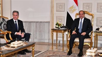 السيسي ووزير الخارجية الأمريكي يتوافقان على ضرورة ضمان نفاذ المساعدات لأهالي غزة 