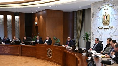 رئيس الوزراء: مؤشرات إيجابية لحجم التدفقات الدولارية وانخفاض الطلب على العملة الخضراء