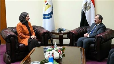 مصر والبحرين تبحثان سبل تعزيز التعاون المشترك في مجال البترول