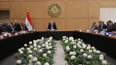  «الكهرباء»: موازنة هيئة الطاقة المتجددة تتجاوز 7 مليارات جنيه العام المقبل