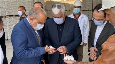 وزير قطاع الأعمال: التكامل مع القطاع الخاص لتوطين الصناعة وإحلال المنتج المحلي