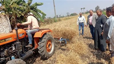 «الزراعة» ترفع حالة الاستعداد القصوى تزامناً مع بدء موسم حصاد وتوريد القمح