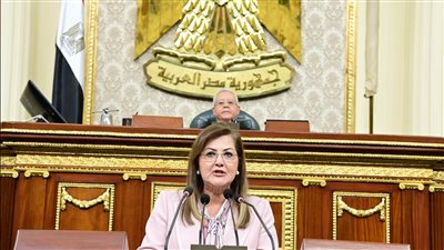 «التخطيط»: 179 مليار جنيه استثمارات أنشطة الزراعة والري خلال العام المالي القادم 