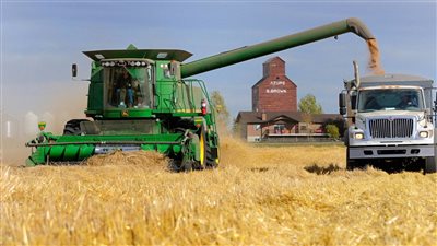 ارتفاع أسعار تصدير القمح الروسي بفعل الظروف الجوية الصعبة