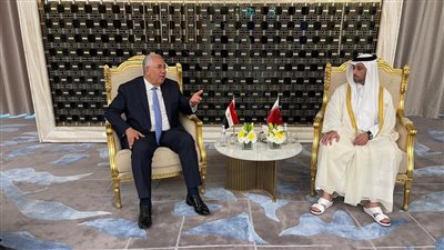 مصر وقطر تبحثان سبل تعزيز التعاون في مجال الزراعة والأمن الغذائي