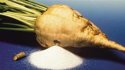 «الدلتا للسكر»: استلام 985 ألف طن بنجر وإنتاج 132 ألف طن سكر