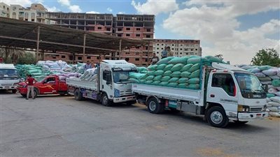 «التموين»: توريد 1.8 مليون طن قمح محلي و المستحقات خلال 48 ساعة 