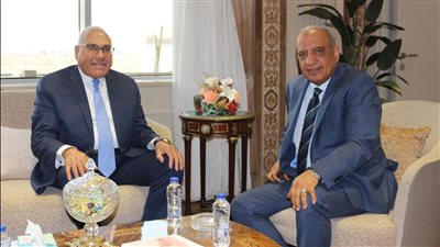 وزير قطاع الأعمال يبحث إنشاء مجمع متكامل لصناعة الحديد والصلب