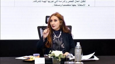 هيئة الاستثمار تبحث تحديث اجراءات اندماج وتعديل الهياكل المالية للشركات