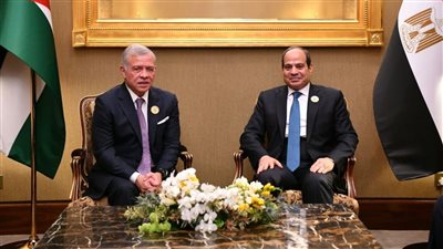 مصر والأردن تؤكدان الرفض التام للتهجير أو تصفية القضية الفلسطينية