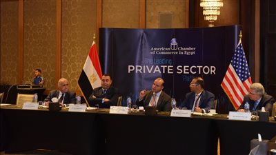 رئيس الرقابة المالية: الانتهاء من المتطلبات التشريعية لإصدار قانون التأمين الموحد