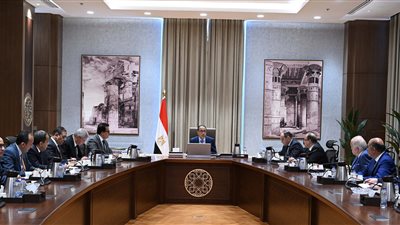  «مدبولي» يوجه بإعداد تصور واضح لدعم صناعة الدواء في مصر