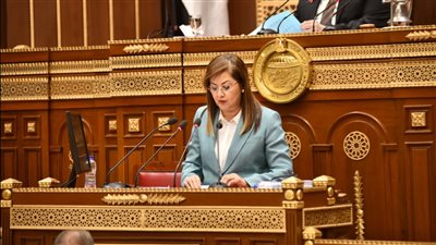 وزير التخطيط: 17.3 تريليون جنيه الناتج المحلي المتوقع خلال 2024-2025