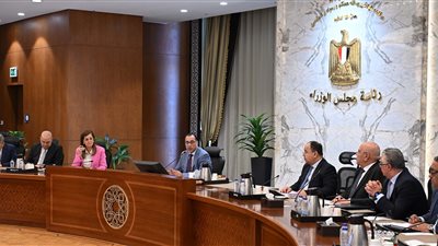 تشكيل لجنة فنية لدراسة مقترحات حوكمة عمل الهيئات الاقتصادية