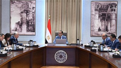 الحكومة تدرس إنشاء منظومة رقمية للأراضي الزراعية في مصر