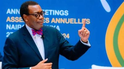 رئيس البنك الأفريقي للتنمية: إنشاء منصة ضمان ووكالة مستقلة للتصنيف الائتماني