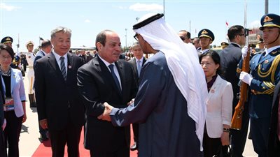 الرئيس السيسي يلتقي نظيره الإماراتي في بكين