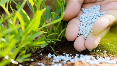 الحكومة تكشف حقيقة رفع الدعم عن الأسمدة الزراعية بدءاً من الموسم المقبل