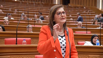وزيرة التخطيط: 4.2% معدل النمو المستهدف خلال 2024-2025 