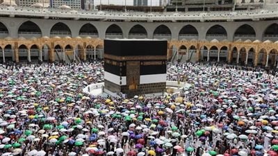 «السياحة»: تسيير 44 رحلة طيران إلى جدة والمدينة المنورة حتى اليوم