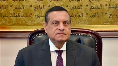 استثمارات برنامج التنمية المحلية بصعيد مصر تتجاوز 22 مليار جنيه