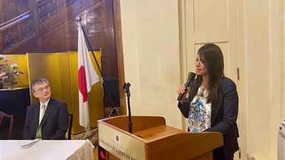 اليابان تدعم 179 مشروعًا صغيرًا في مصر بقيمة 10 ملايين دولار