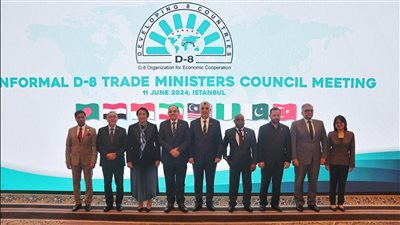 مصر تدعو لتأسيس بنك للحبوب بمجموعة الدول الثماني النامية الإسلامية